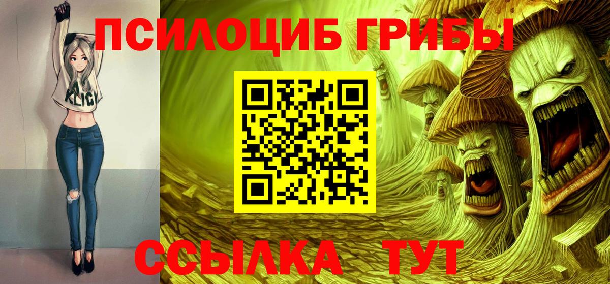 Галлюциногенные грибы MAGIC MUSHROOMS  Вход с VPN  Тихвин 
