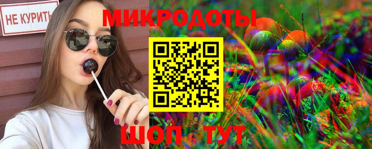 Псилоцибиновые грибы Psilocybe Тихвин